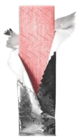 gum
