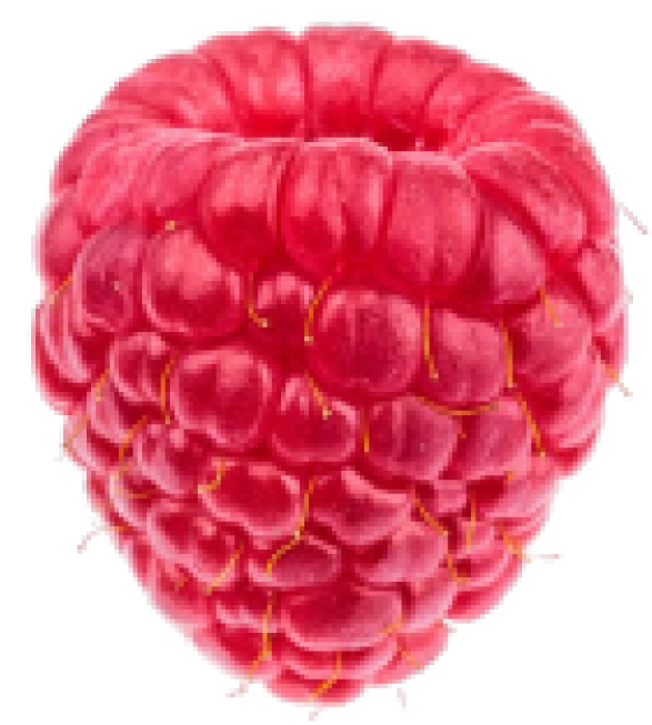 raspberry